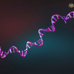 AP Biology: Tổng quan chương trình, cấu trúc đề thi mới nhất và cách ôn hiệu quả