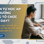 Có nên tự học AP nếu trường không tổ chức giảng dạy? Hướng dẫn từ A–Z cho thí sinh tự do 2026