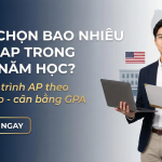 Nên chọn bao nhiêu môn AP trong một năm học? Hướng dẫn chọn đúng để nổi bật hồ sơ du học Mỹ