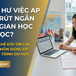AP có giúp rút ngắn thời gian học đại học không? Phân tích thực tế từ A–Z