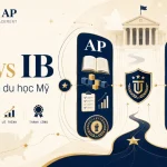 AP vs IB Du Học 2026: Nên Chọn Chương Trình Nào Cho Hồ Sơ Đại Học Top?